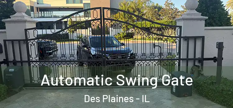 Automatic Swing Gate Des Plaines - IL