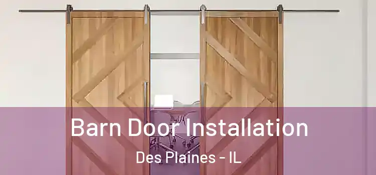 Barn Door Installation Des Plaines - IL