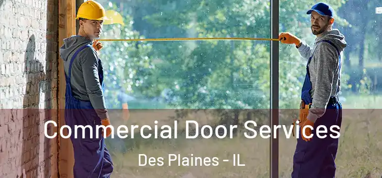 Commercial Door Services Des Plaines - IL