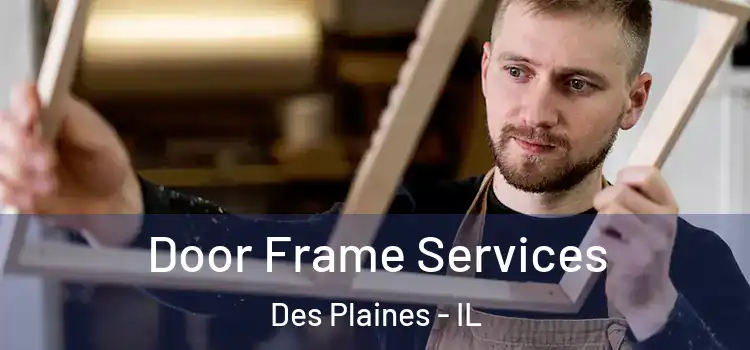 Door Frame Services Des Plaines - IL