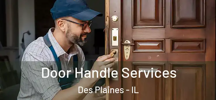 Door Handle Services Des Plaines - IL