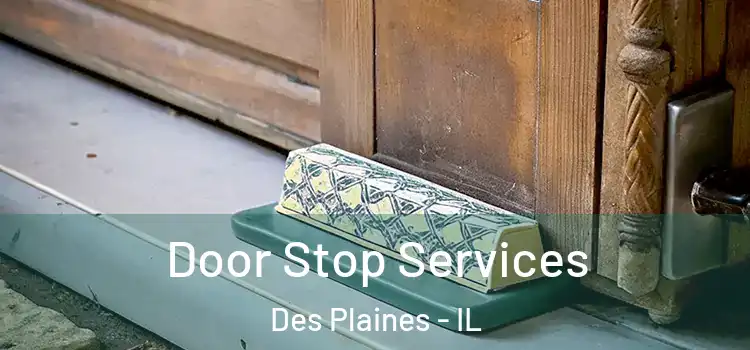 Door Stop Services Des Plaines - IL