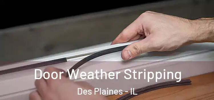 Door Weather Stripping Des Plaines - IL