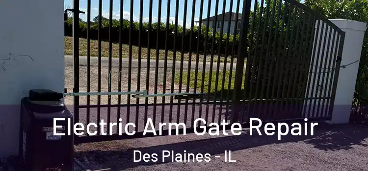Electric Arm Gate Repair Des Plaines - IL