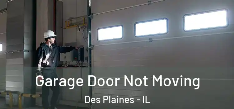  Garage Door Not Moving Des Plaines - IL