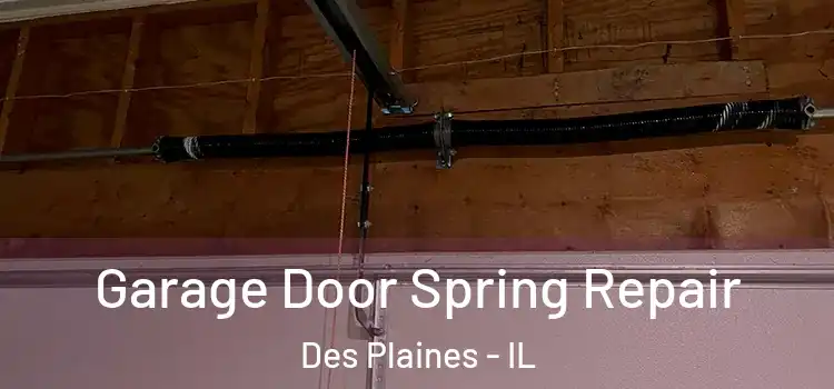  Garage Door Spring Repair Des Plaines - IL