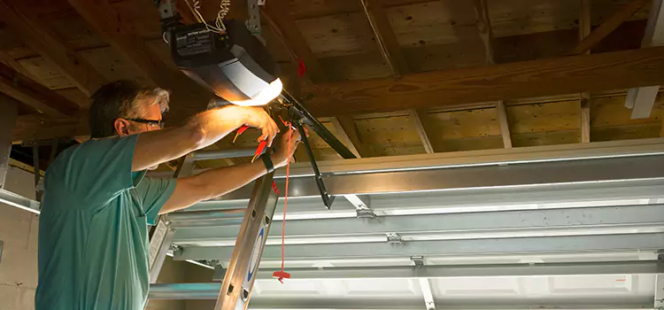 Garage Door Opener Sales and Installation Des Plaines