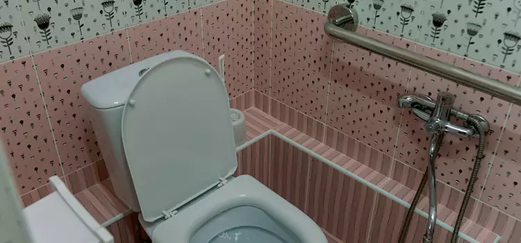 Meeting Diverse Needs With Accessible Restroom Solutions in Des Plaines, IL
