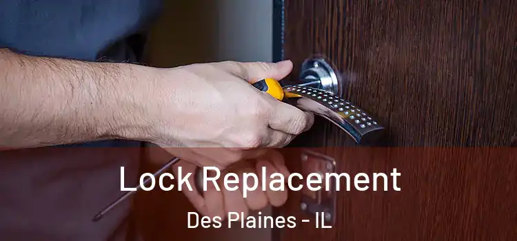 Lock Replacement Des Plaines - IL