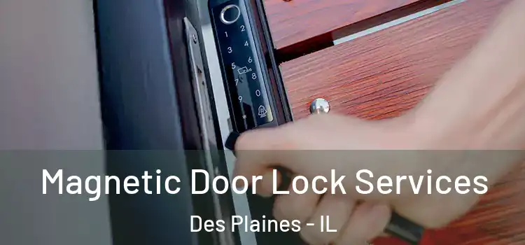 Magnetic Door Lock Services Des Plaines - IL