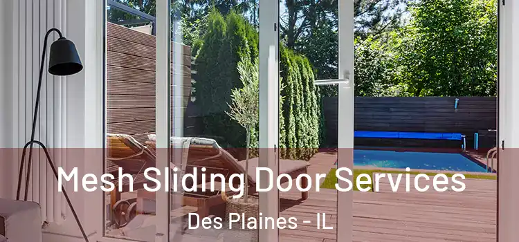 Mesh Sliding Door Services Des Plaines - IL