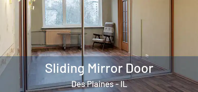  Sliding Mirror Door Des Plaines - IL