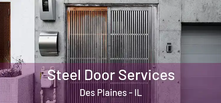 Steel Door Services Des Plaines - IL