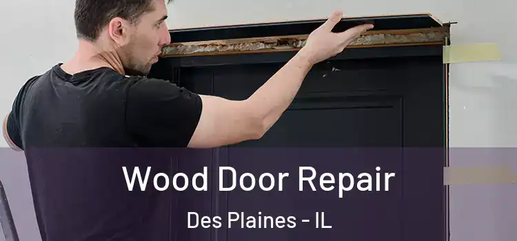 Wood Door Repair Des Plaines - IL