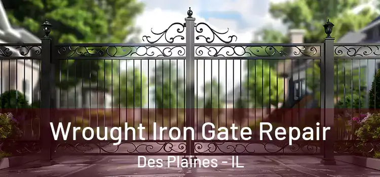 Wrought Iron Gate Repair Des Plaines - IL